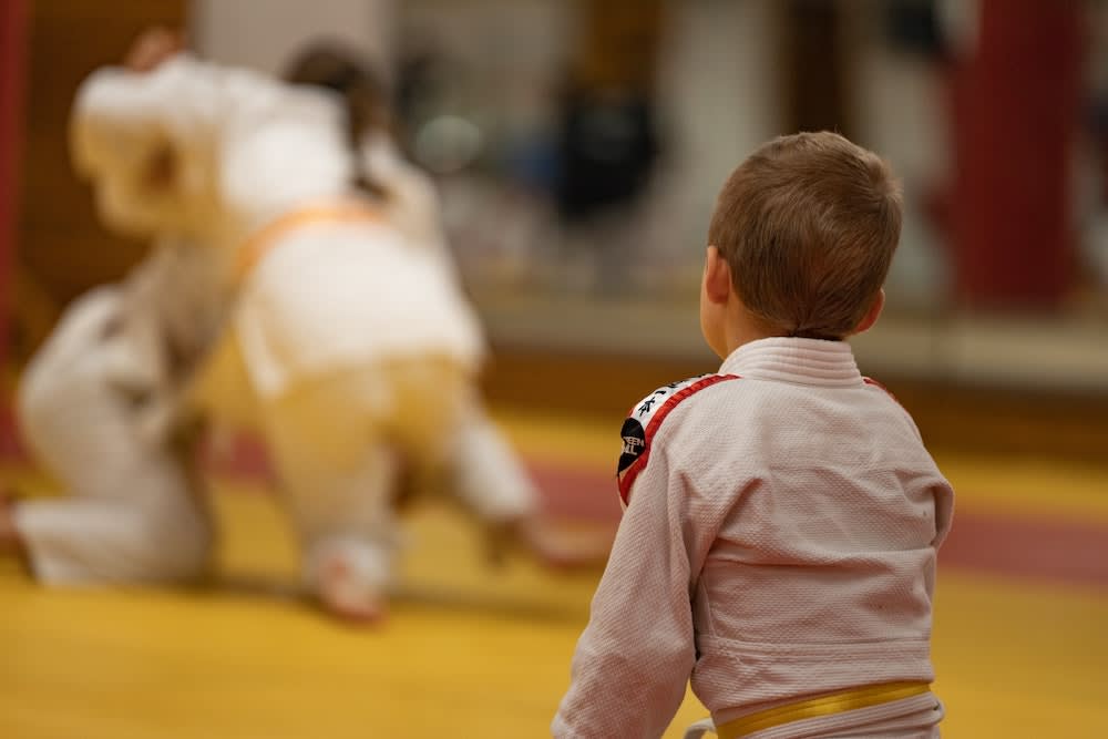 Kids Martial Arts near Nashua